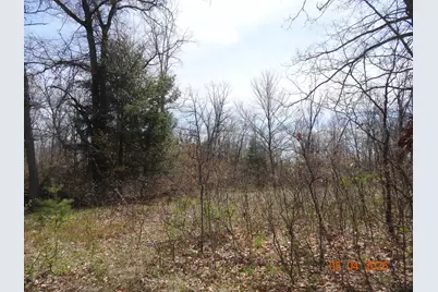 550 S Oak Avenue, White Cloud, MI 49349 - Photo 5