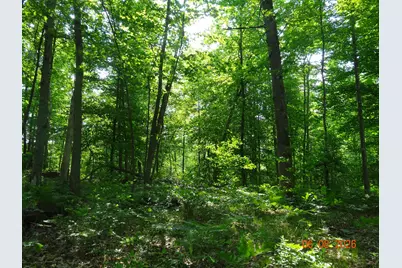 550 S Oak Avenue, White Cloud, MI 49349 - Photo 11