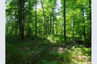 550 S Oak Avenue, White Cloud, MI 49349 - Photo 13