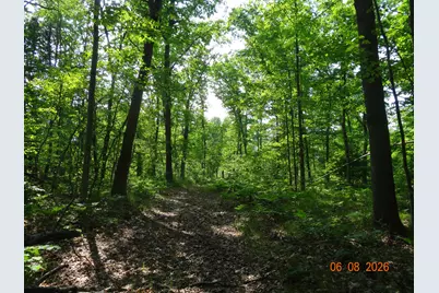 550 S Oak Avenue, White Cloud, MI 49349 - Photo 19
