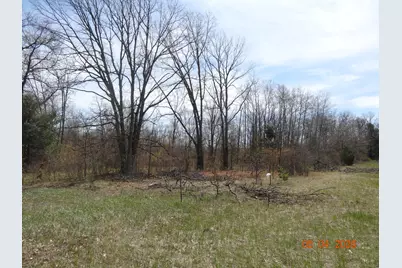 550 S Oak Avenue, White Cloud, MI 49349 - Photo 9