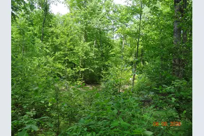 550 S Oak Avenue, White Cloud, MI 49349 - Photo 9