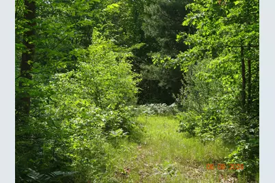 550 S Oak Avenue, White Cloud, MI 49349 - Photo 25