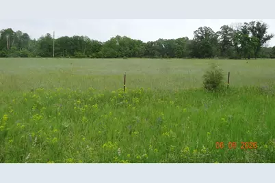 550 S Oak Avenue, White Cloud, MI 49349 - Photo 3