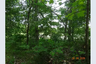550 S Oak Avenue, White Cloud, MI 49349 - Photo 27