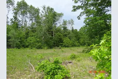 550 S Oak Avenue, White Cloud, MI 49349 - Photo 5