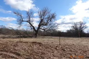 518 S Oak Ave, White Cloud, MI 49349 - Photo 1