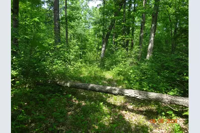 518 S Oak Avenue, White Cloud, MI 49349 - Photo 7
