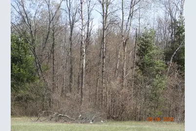 518 S Oak Avenue, White Cloud, MI 49349 - Photo 3