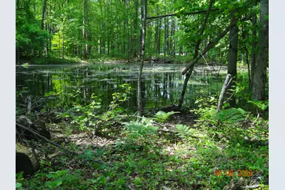 518 S Oak Avenue, White Cloud, MI 49349 - Photo 11