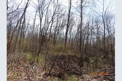 518 S Oak Avenue, White Cloud, MI 49349 - Photo 7