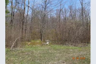 518 S Oak Avenue, White Cloud, MI 49349 - Photo 5