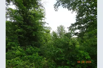 518 S Oak Avenue, White Cloud, MI 49349 - Photo 5