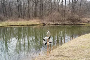 9492 Sayers Rd, Munith, MI 49259 - Photo 45