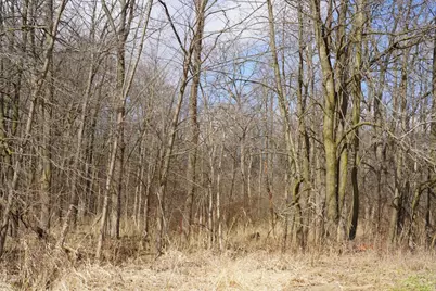 9492 Sayers Road, Munith, MI 49259 - Photo 49