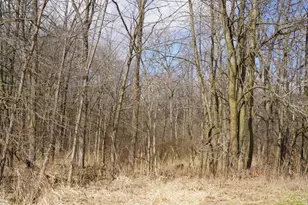 9492 Sayers Rd, Munith, MI 49259 - Photo 49