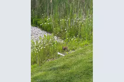 3084 N Spurway Drive, Ann Arbor, MI 48105 - Photo 65