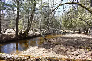 5199 E Marquette Trail, Chase, MI 49623 - Photo 5