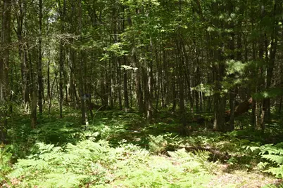 5199 E Marquette Trail, Chase, MI 49623 - Photo 23