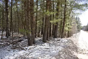 5199 E Marquette Trail, Chase, MI 49623 - Photo 25