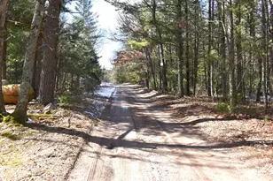 5199 E Marquette Trail, Chase, MI 49623 - Photo 23