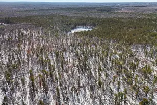 0 E Stark Rd, Free Soil, MI 49411 - Photo 9