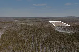 0 E Stark Rd, Free Soil, MI 49411 - Photo 15