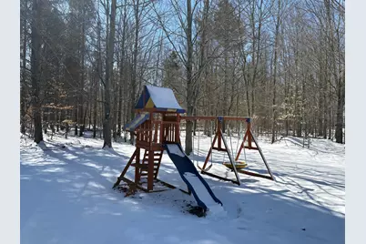 9891 Glovers Lake Road, Bear Lake, MI 49614 - Photo 49