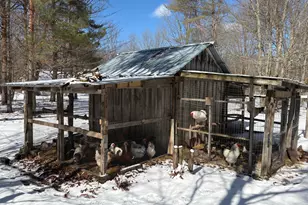 9891 Glovers Lake Rd, Bear Lake, MI 49614 - Photo 49