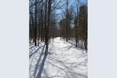 9891 Glovers Lake Road, Bear Lake, MI 49614 - Photo 51