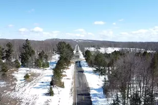 9891 Glovers Lake Rd, Bear Lake, MI 49614 - Photo 63