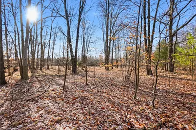 Vl W 100th Street, Grant, MI 49327 - Photo 31