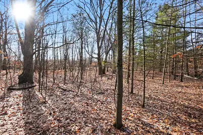 Vl W 100th Street, Grant, MI 49327 - Photo 29