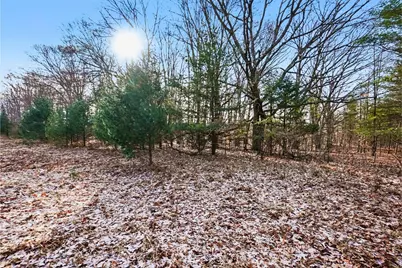 Vl W 100th Street, Grant, MI 49327 - Photo 11