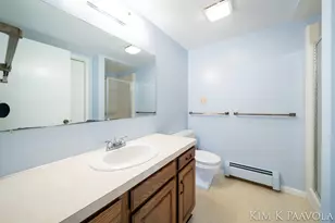 260 Vine St SE, Caledonia, MI 49316 - Photo 45