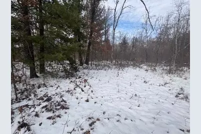 N 5th Avenue, Marion, MI 49665 - Photo 3