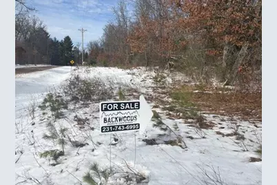 N 5th Avenue, Marion, MI 49665 - Photo 1