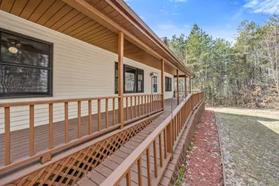 16393 Tamarack Road, Howard City, MI 49329 - Photo 47