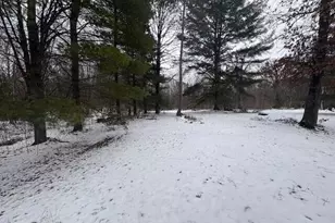 492 14 Mile Rd, Marion, MI 49665 - Photo 19