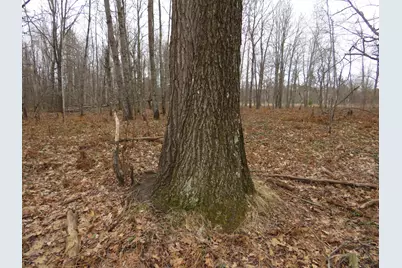 N Dorr Road, Merritt, MI 49667 - Photo 7