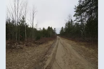 N Dorr Road, Merritt, MI 49667 - Photo 29