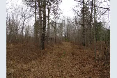 N Dorr Road, Merritt, MI 49667 - Photo 27