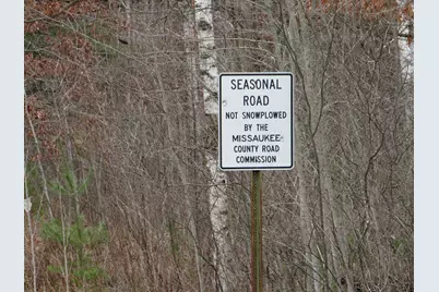 N Dorr Road, Merritt, MI 49667 - Photo 31