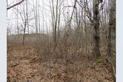 N Dorr Road, Merritt, MI 49667 - Photo 3