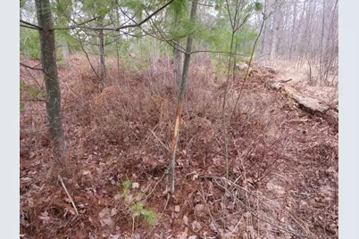 N Dorr Road, Merritt, MI 49667 - Photo 17