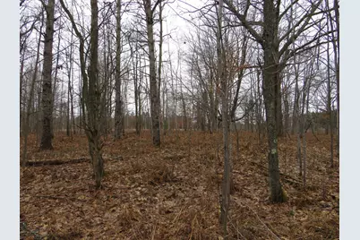 N Dorr Road, Merritt, MI 49667 - Photo 5