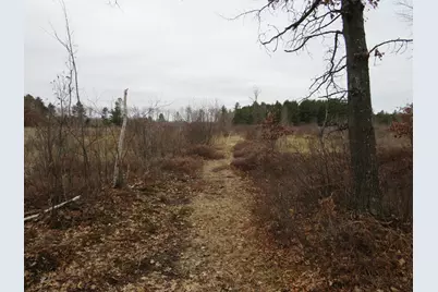 N Dorr Road, Merritt, MI 49667 - Photo 11