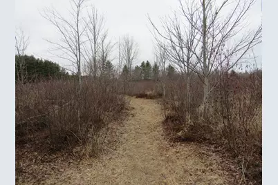 N Dorr Road, Merritt, MI 49667 - Photo 15