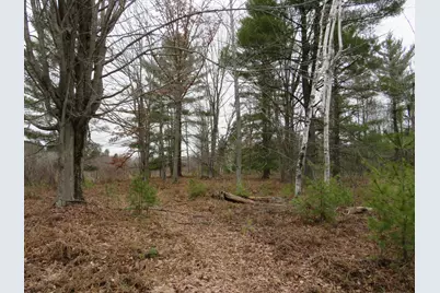 N Dorr Road, Merritt, MI 49667 - Photo 19