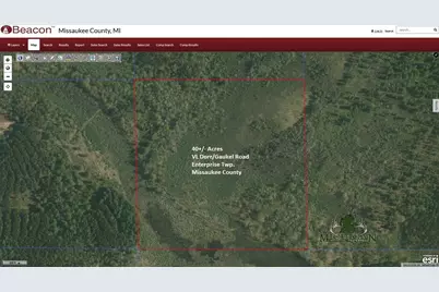 N Dorr Road, Merritt, MI 49667 - Photo 1